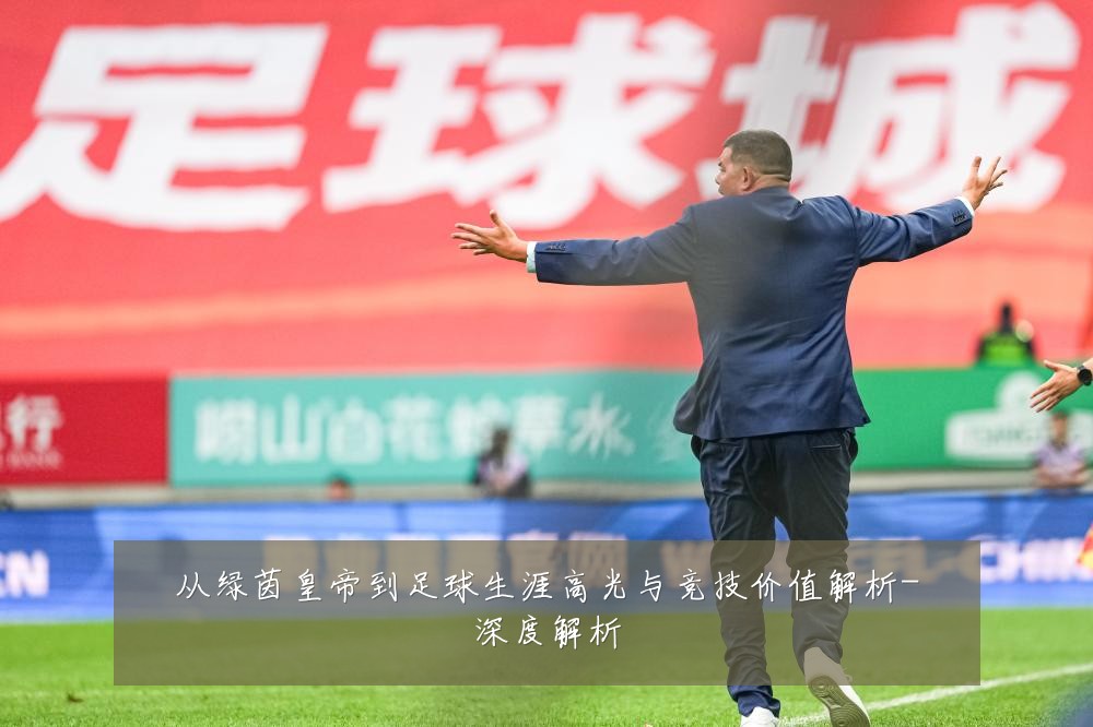 从绿茵皇帝到足球生涯高光与竞技价值解析-深度解析